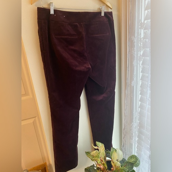 Ann Taylor Velvet Burgundy Modern Fit Cotton Slim Pants Size 8 Women’s Straight - Picture 5 of 7
